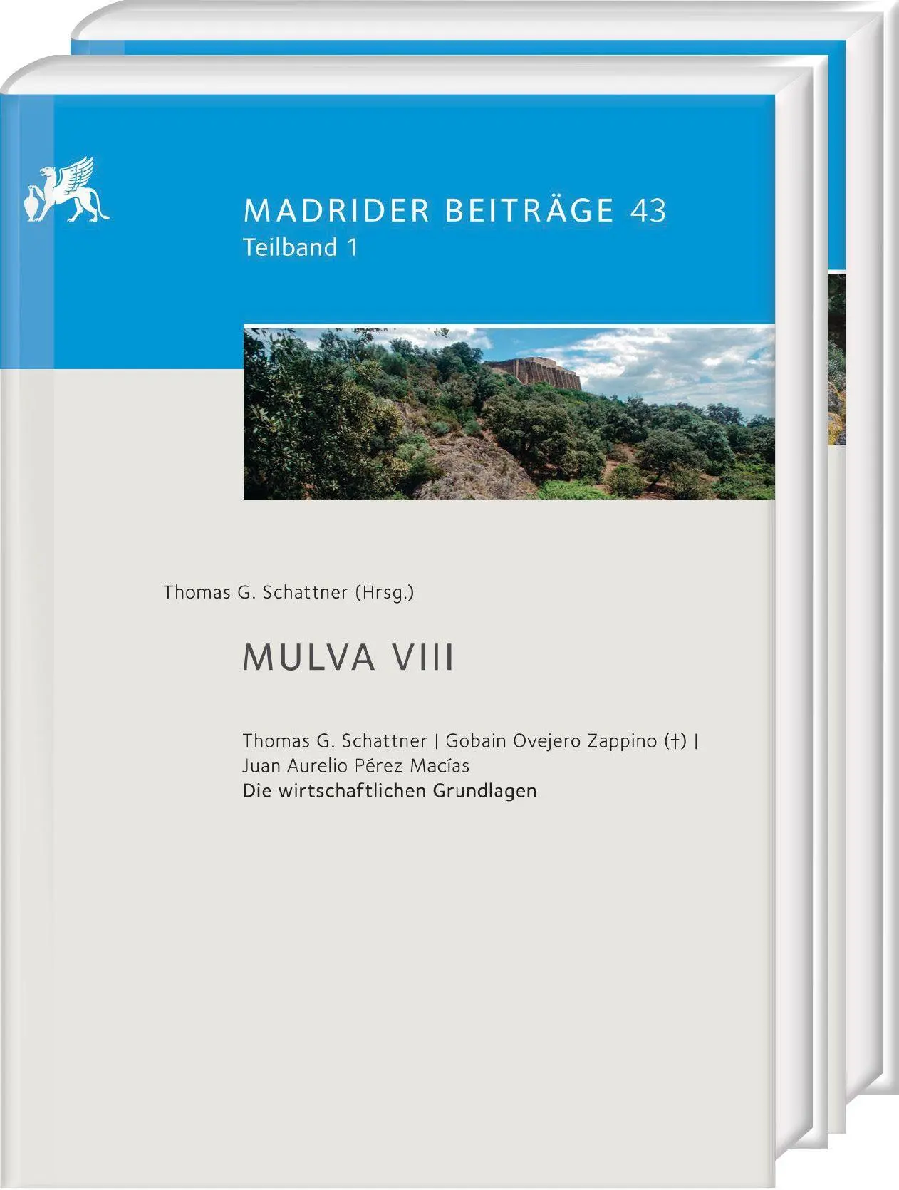 Cover: 9783447123778 | Mulva VIII. Die wirtschaftlichen Grundlagen von Munigua | Schattner