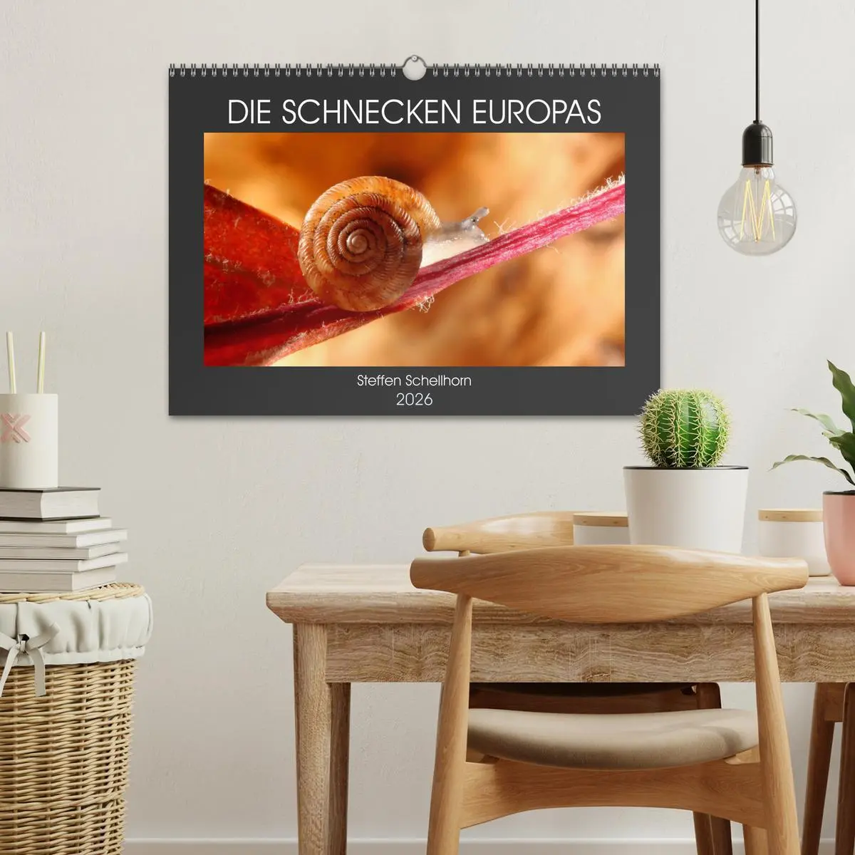 Bild: 9783457643778 | DIE SCHNECKEN EUROPAS (Wandkalender 2026 DIN A3 quer), CALVENDO...