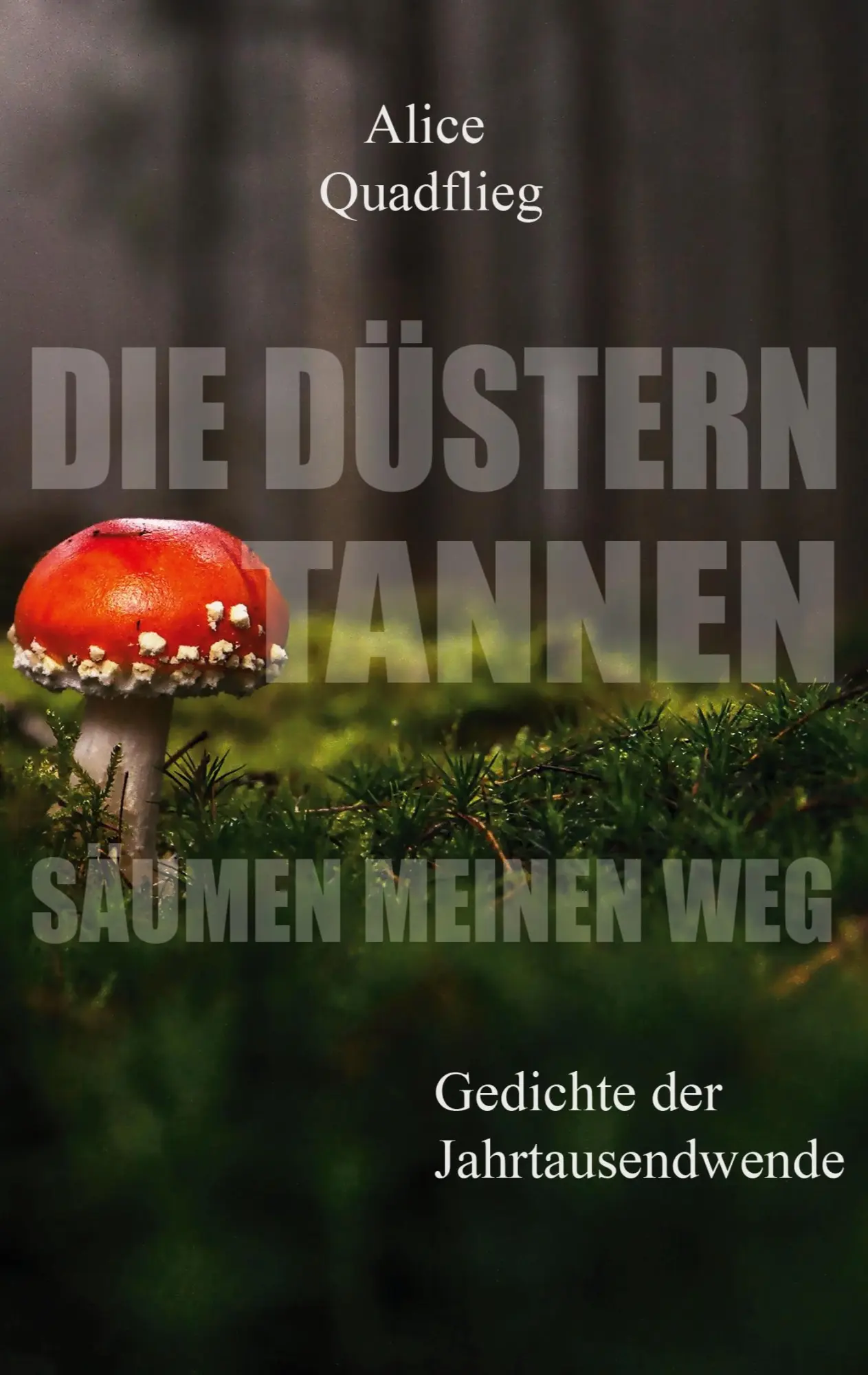Cover: 9783753403878 | Die düstern Tannen säumen meinen Weg | Gedichte der Jahrtausendwende