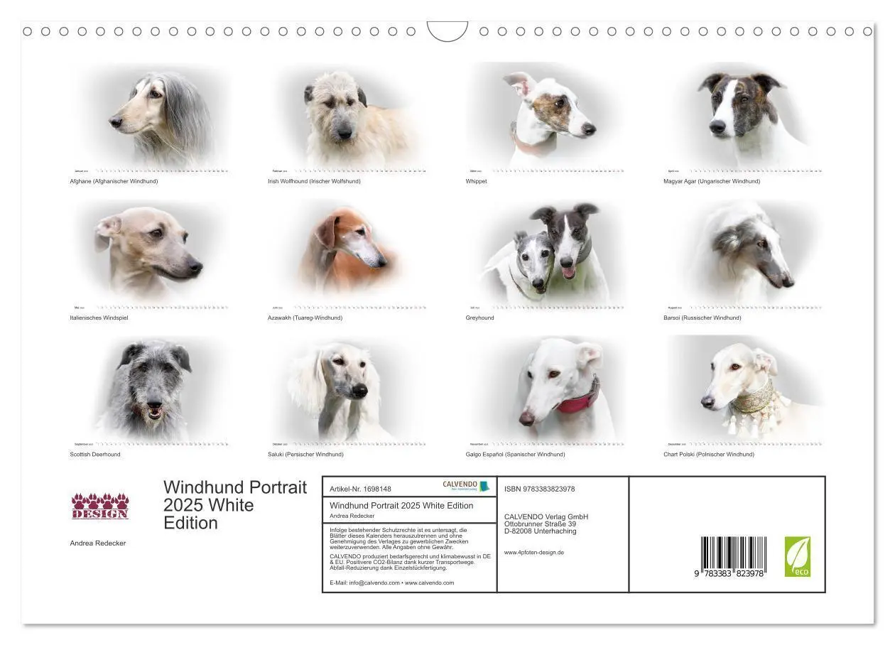 Bild: 9783383823978 | Windhund Portrait 2025 White Edition (Wandkalender 2025 DIN A3...