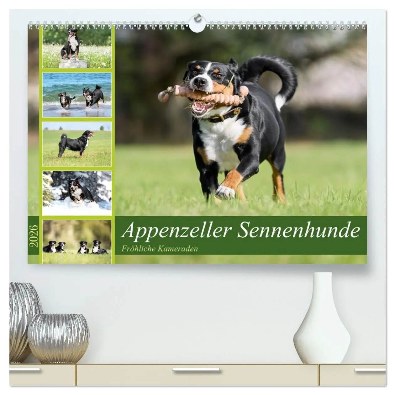 Cover: 9783457483978 | Appenzeller Sennenhunde - Fröhliche Kameraden (hochwertiger Premium...