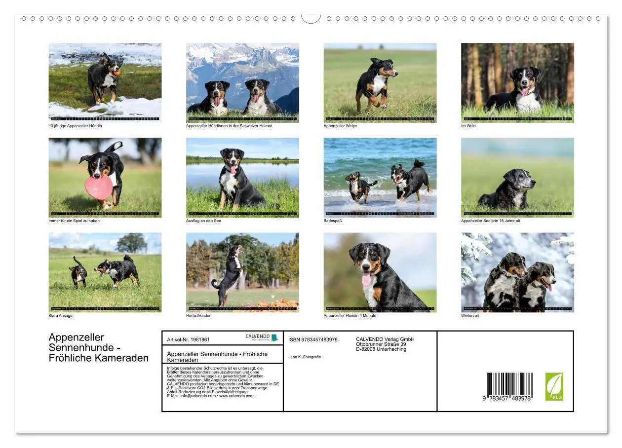 Bild: 9783457483978 | Appenzeller Sennenhunde - Fröhliche Kameraden (hochwertiger Premium...