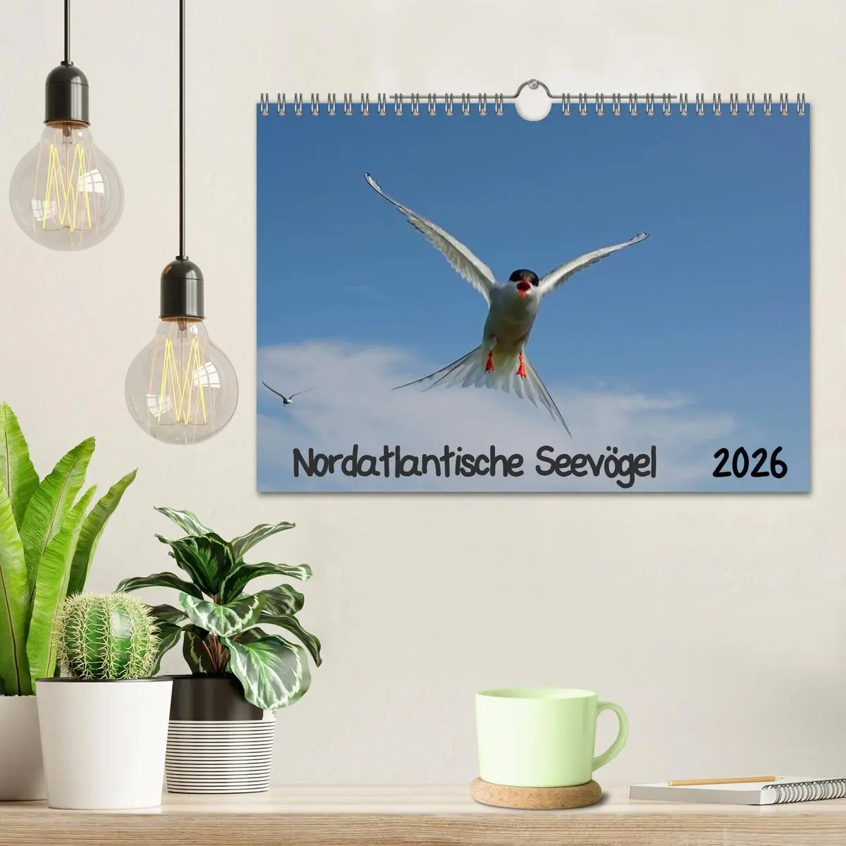 Bild: 9783516193978 | Nordatlantische Seevögel (Wandkalender 2026 DIN A4 quer), CALVENDO...