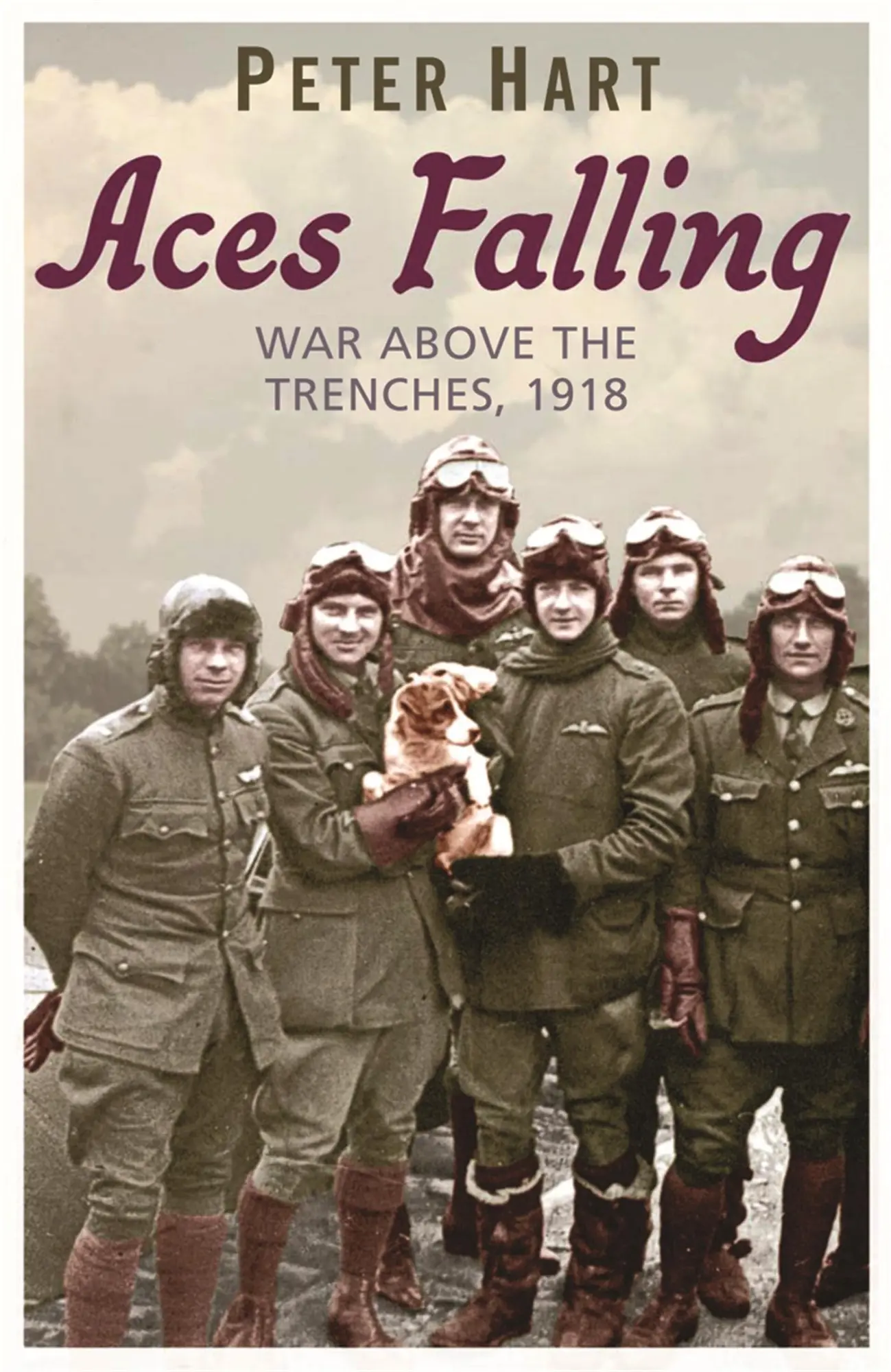 Cover: 9780753824078 | Aces Falling | War Above the Trenches, 1918 | Peter Hart | Taschenbuch