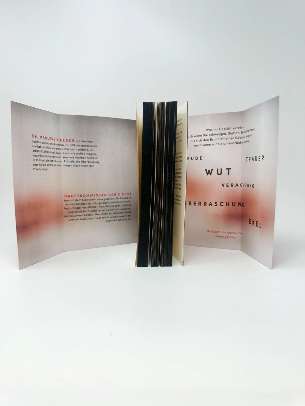Bild: 9783548074078 | Die Lüge in ihrem Gesicht | Thriller | Anne Keßel | Taschenbuch | 2026