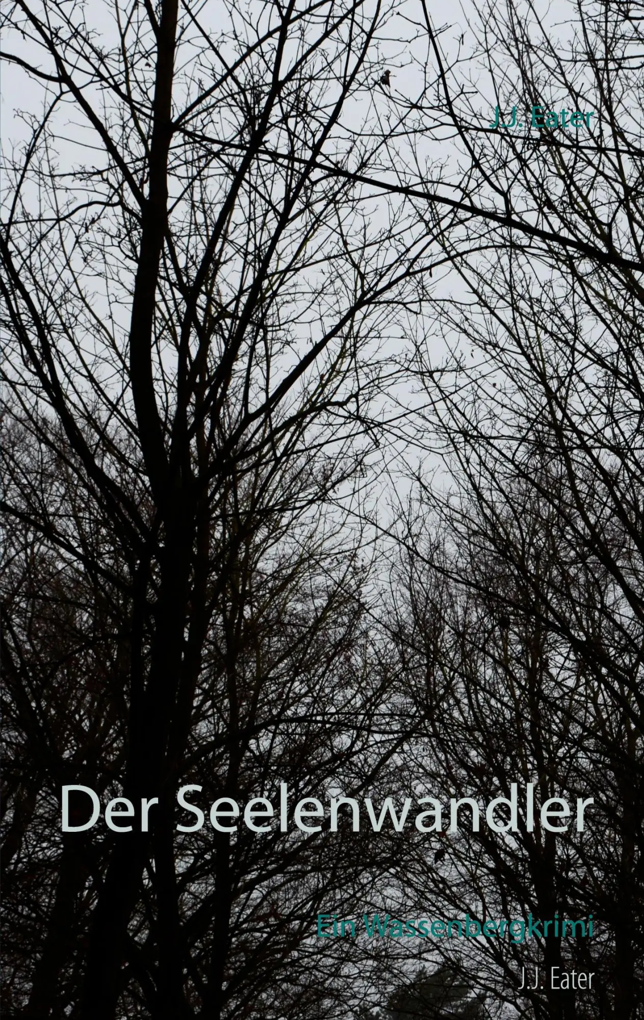 Cover: 9783752604078 | Der Seelenwandler | Ein Wassenbergkrimi | J. J. Eater | Taschenbuch