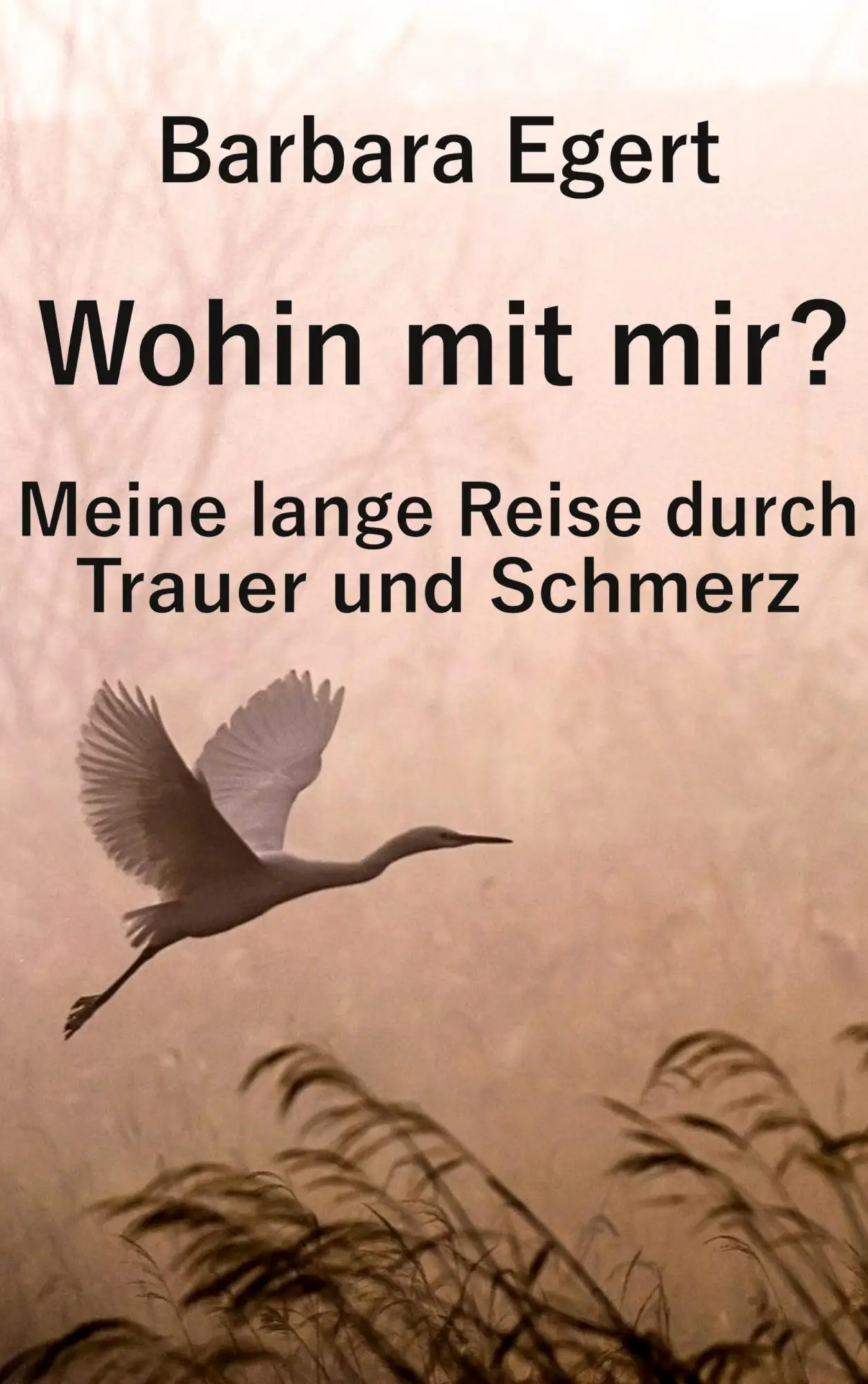 Cover: 9783819264078 | Wohin mit mir? Meine lange Reise durch Trauer und Schmerz | Egert