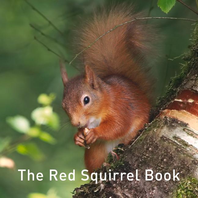 Cover: 9781912654178 | Nature Book Series: The Red Squirrel Book | Jane Russ | Buch | 2018