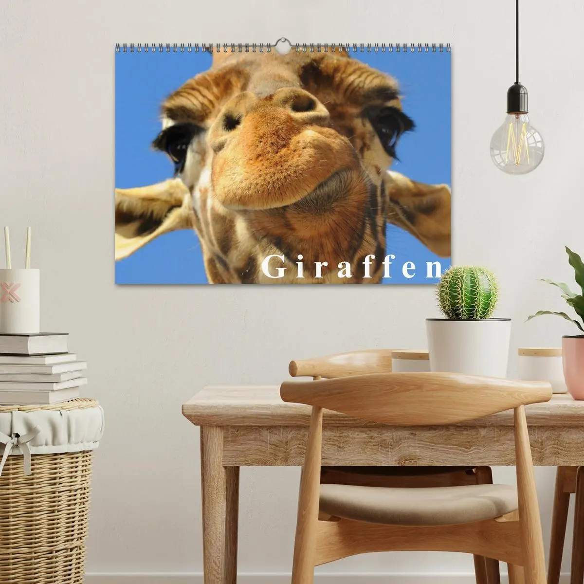 Bild: 9783516144178 | Giraffen / Geburtstagskalender (Wandkalender 2026 DIN A3 quer),...