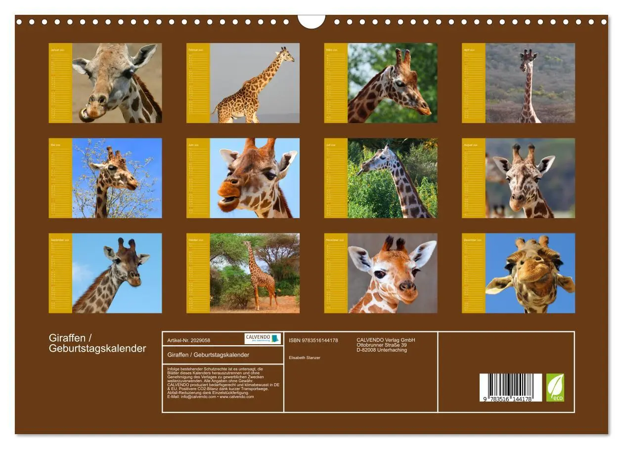 Bild: 9783516144178 | Giraffen / Geburtstagskalender (Wandkalender 2026 DIN A3 quer),...