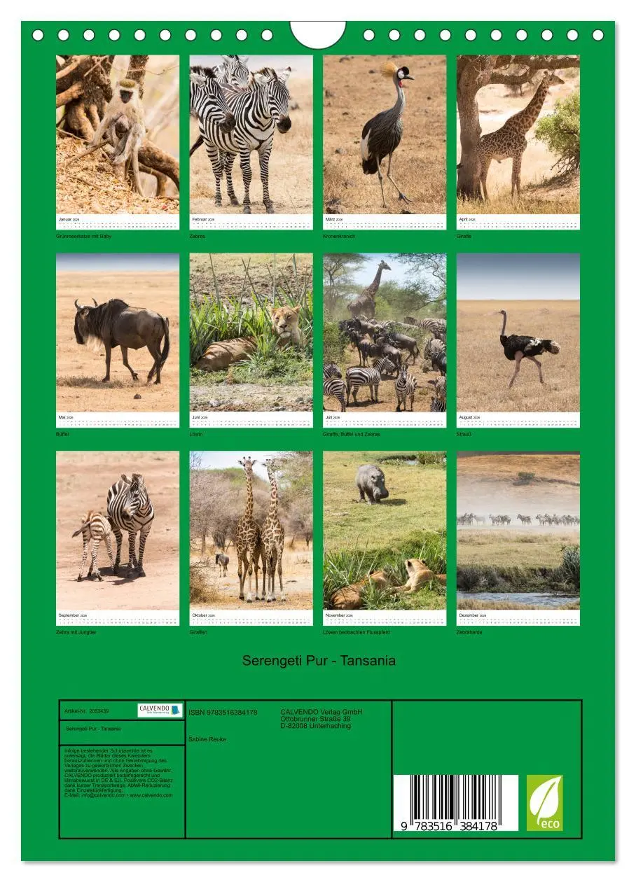 Bild: 9783516384178 | Serengeti Pur - Tansania (Wandkalender 2026 DIN A4 hoch), CALVENDO...
