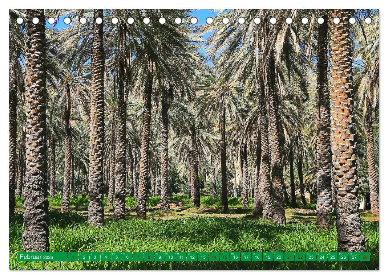 Bild: 9783457594278 | Unterwegs im Weihrauchland Oman (Tischkalender 2026 DIN A5 quer),...