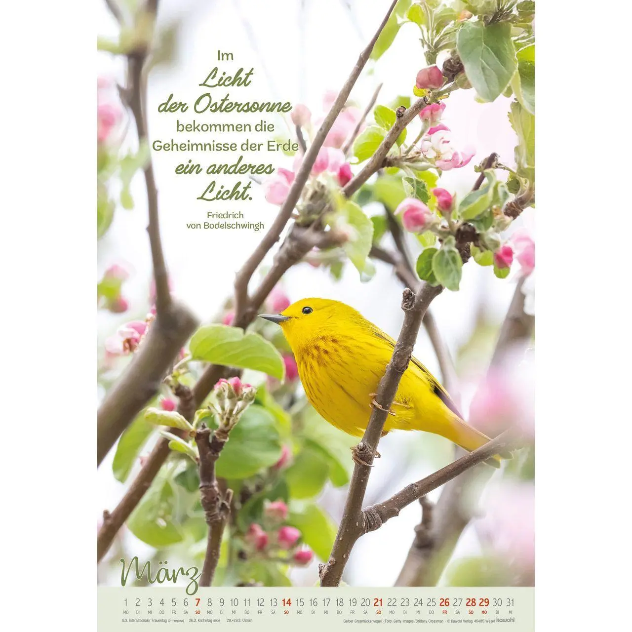 Bild: 9783754804278 | Beflügelt und getragen 2027 | Vögel | Kalender | Spiralbindung | 14 S.