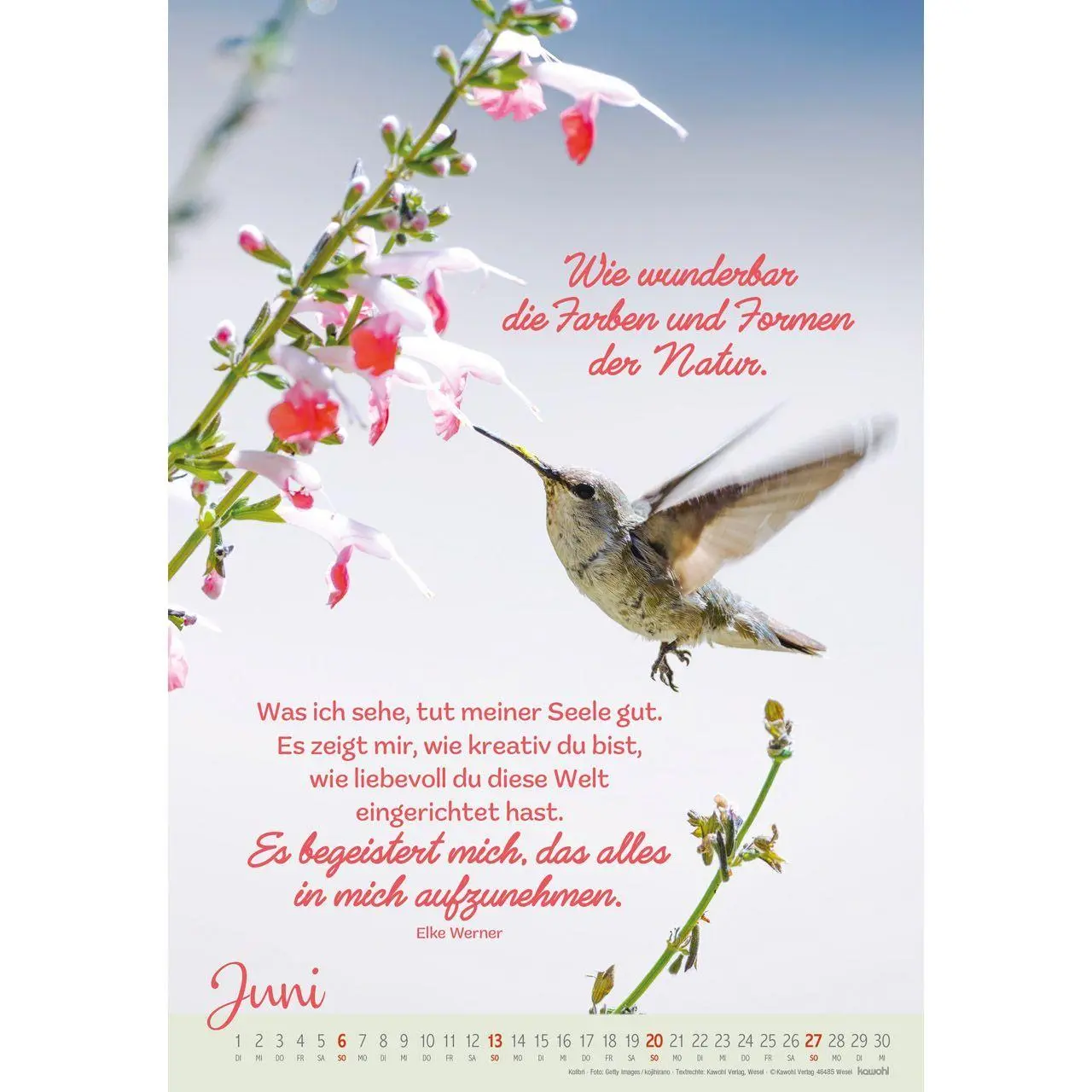 Bild: 9783754804278 | Beflügelt und getragen 2027 | Vögel | Kalender | Spiralbindung | 14 S.