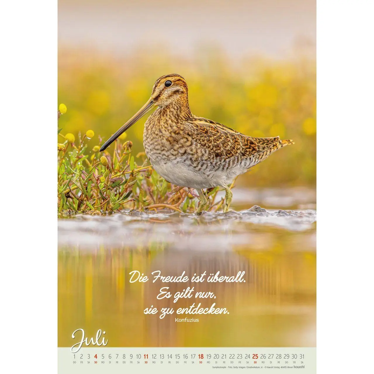 Bild: 9783754804278 | Beflügelt und getragen 2027 | Vögel | Kalender | Spiralbindung | 14 S.