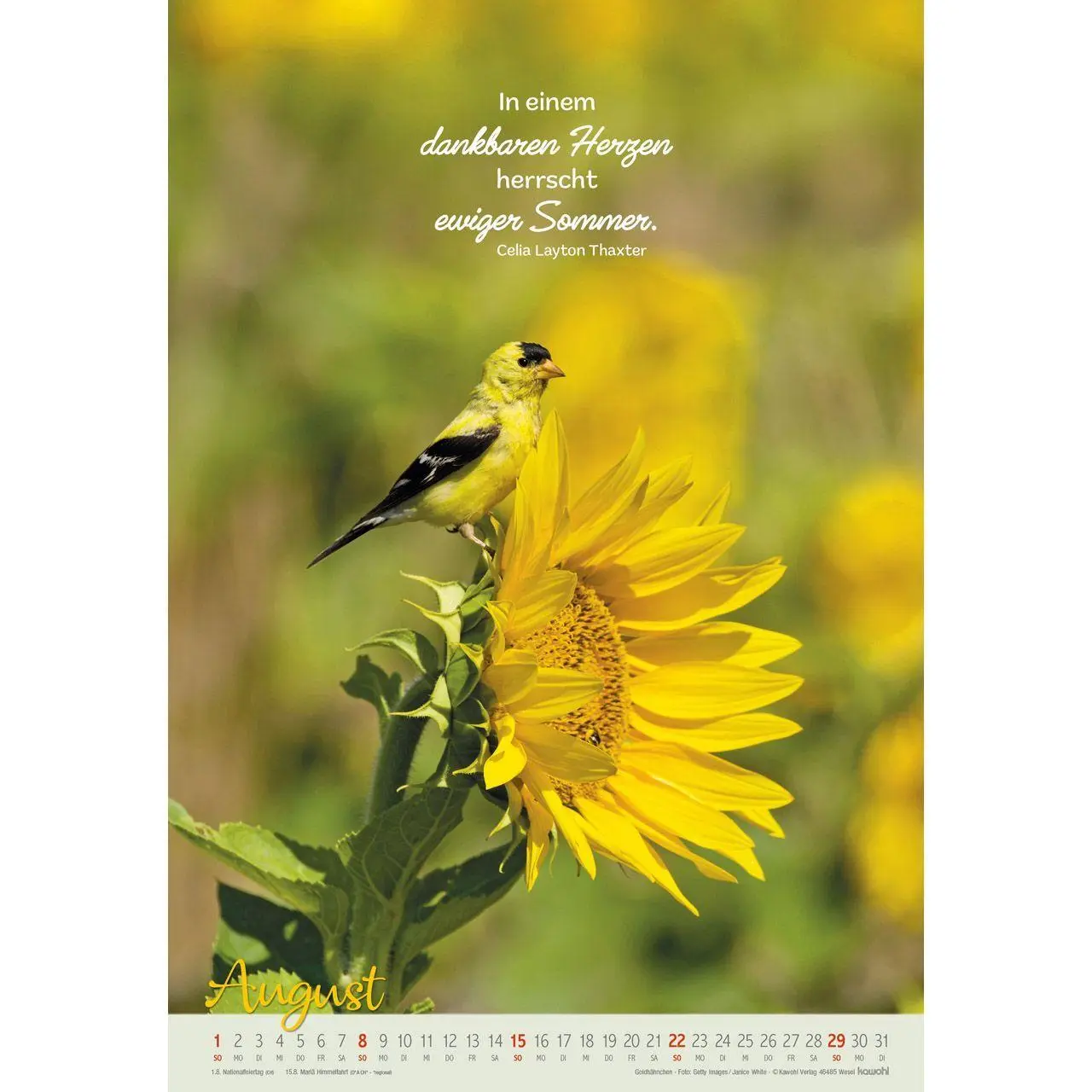 Bild: 9783754804278 | Beflügelt und getragen 2027 | Vögel | Kalender | Spiralbindung | 14 S.