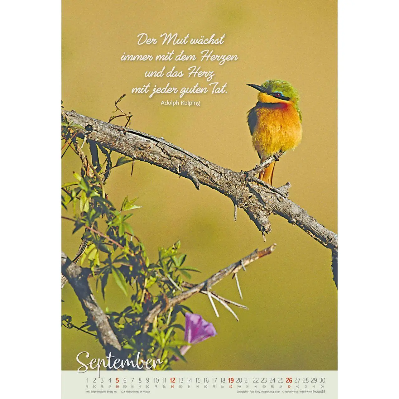 Bild: 9783754804278 | Beflügelt und getragen 2027 | Vögel | Kalender | Spiralbindung | 14 S.