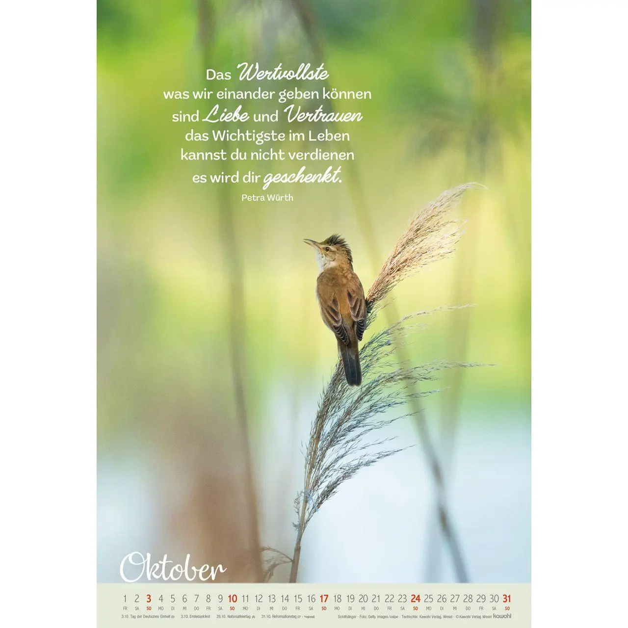 Bild: 9783754804278 | Beflügelt und getragen 2027 | Vögel | Kalender | Spiralbindung | 14 S.