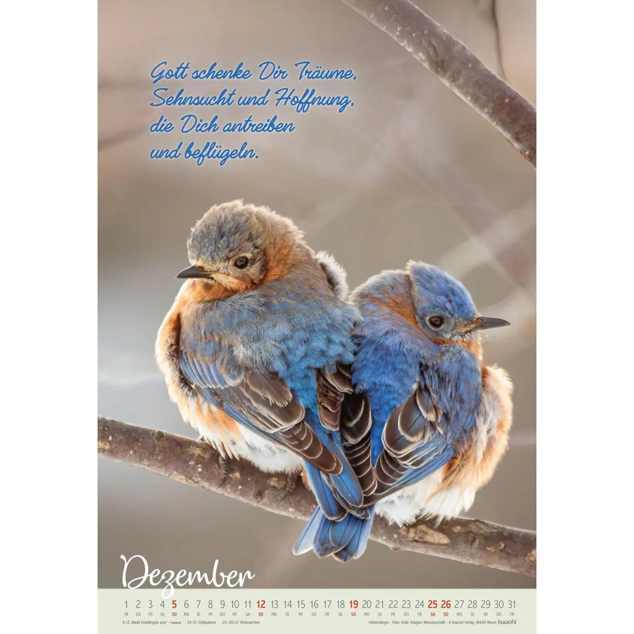 Bild: 9783754804278 | Beflügelt und getragen 2027 | Vögel | Kalender | Spiralbindung | 14 S.