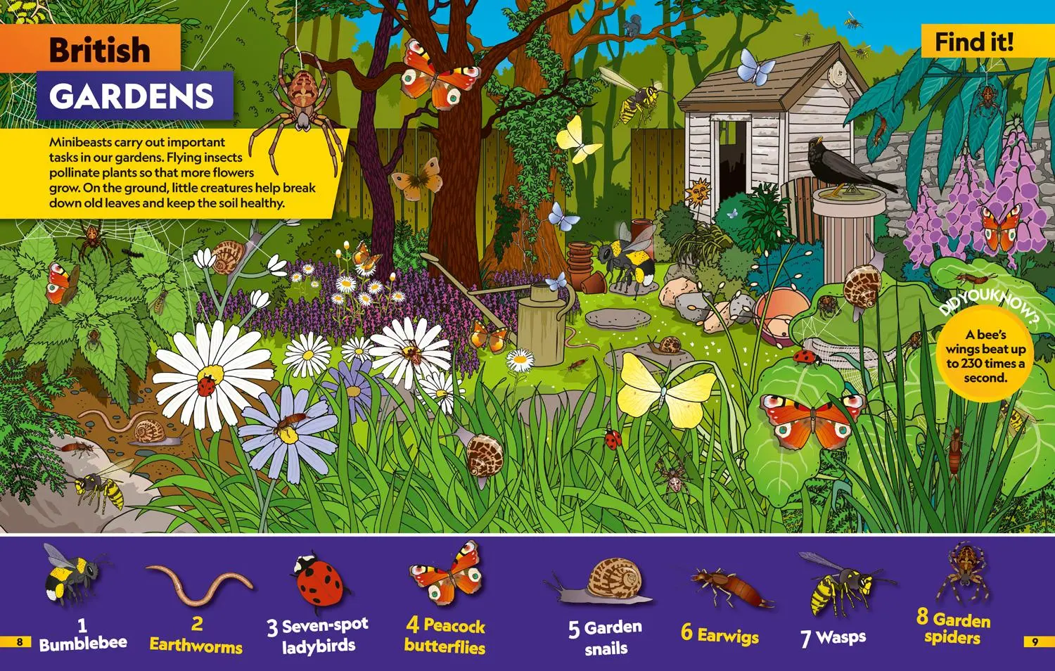 Bild: 9780008554378 | Insects Find it! Explore it! | National Geographic Kids | Taschenbuch