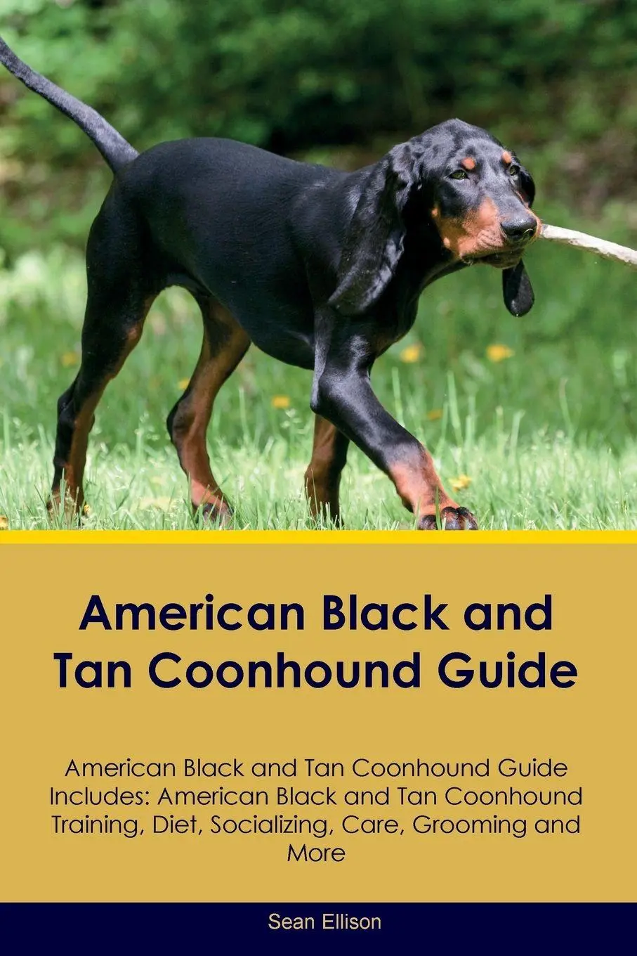 Cover: 9781395864378 | American Black and Tan Coonhound Guide American Black and Tan...