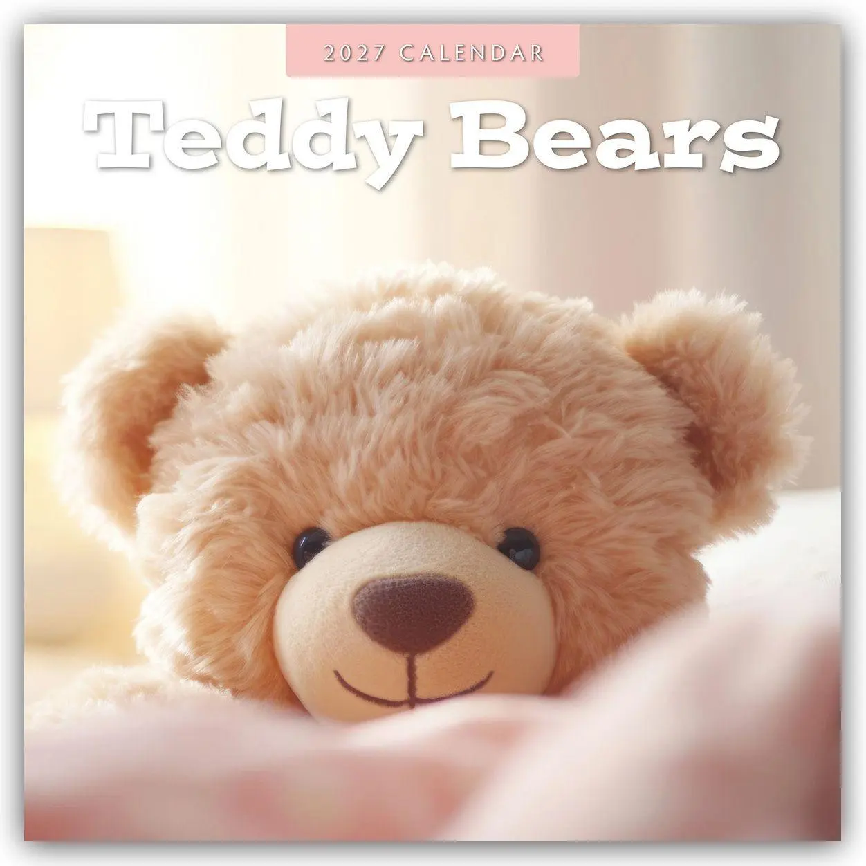 Cover: 9781837014378 | Teddy Bears - Teddybären 2027 - 16-Monatskalender | Robin Red | 28 S.