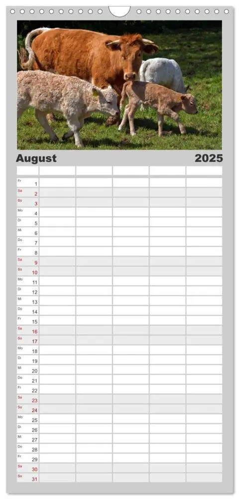 Bild: 9783457104378 | Familienplaner 2025 - Kuh und Co. mit 5 Spalten (Wandkalender, 21 x...