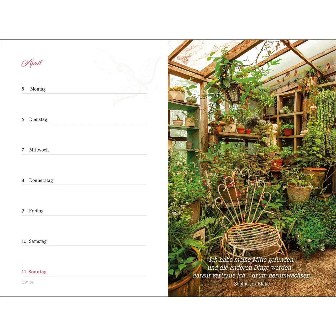Bild: 9783754894378 | Augenblick 2027 | Bianka Bleier | Kalender | 176 S. | Deutsch | 2027