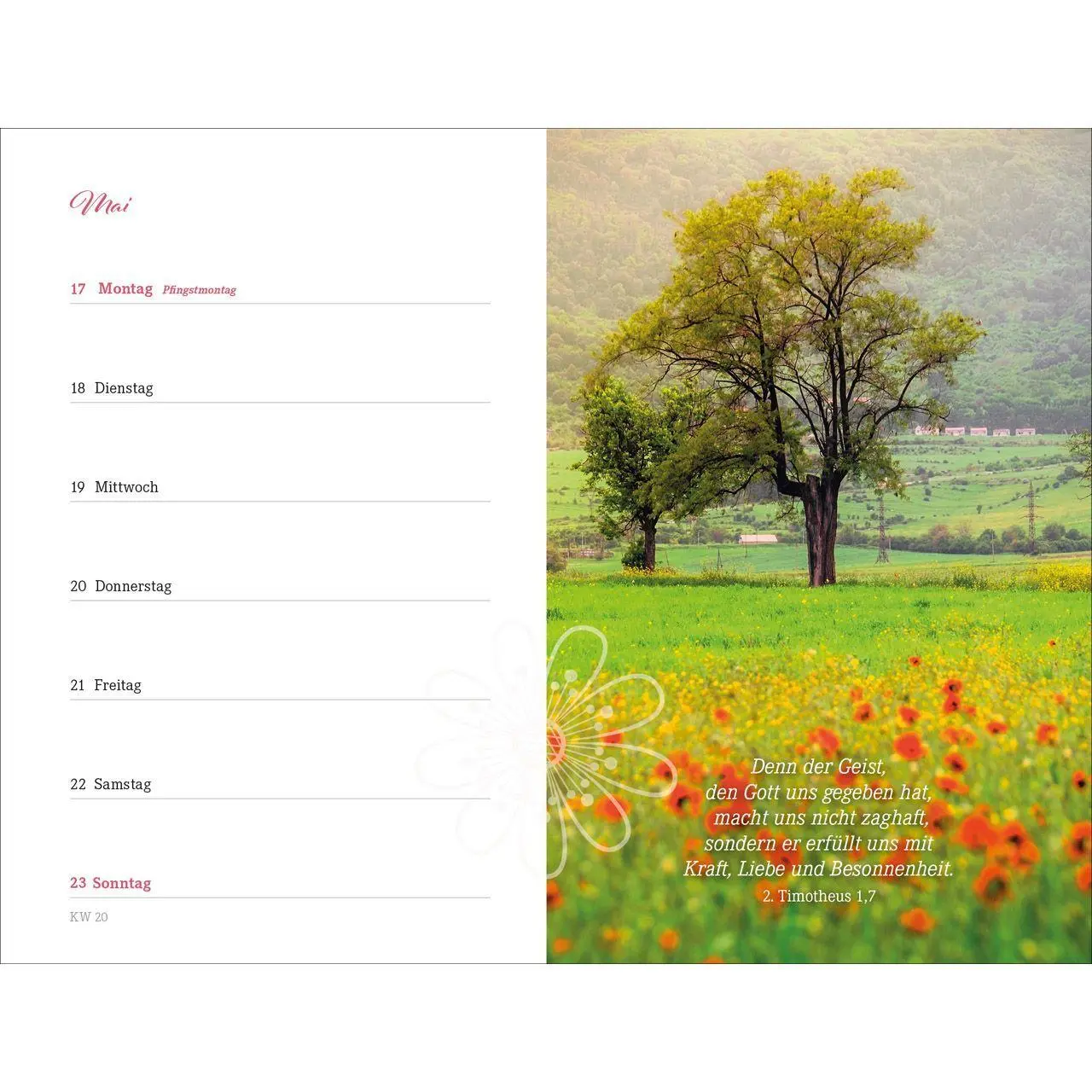 Bild: 9783754894378 | Augenblick 2027 | Bianka Bleier | Kalender | 176 S. | Deutsch | 2027
