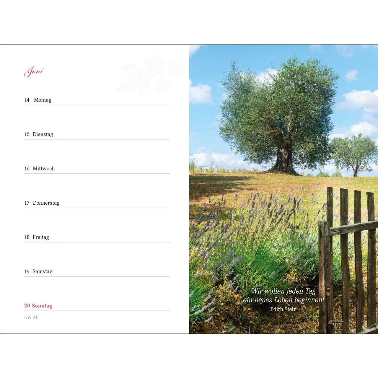 Bild: 9783754894378 | Augenblick 2027 | Bianka Bleier | Kalender | 176 S. | Deutsch | 2027