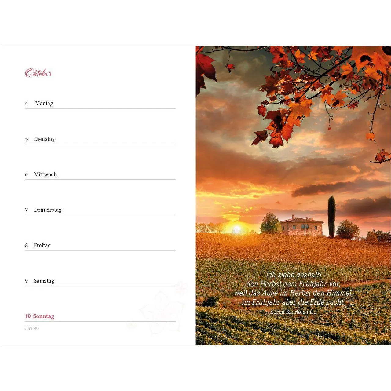 Bild: 9783754894378 | Augenblick 2027 | Bianka Bleier | Kalender | 176 S. | Deutsch | 2027