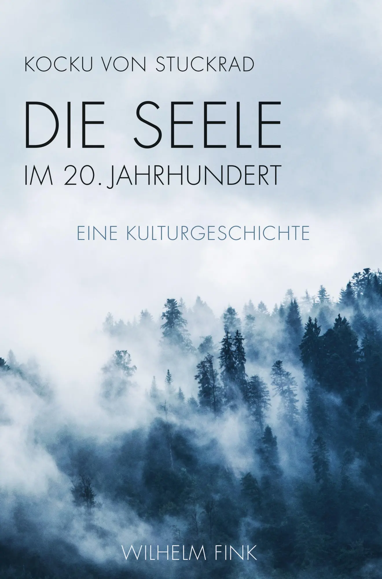 Cover: 9783770564378 | Die Seele im 20. Jahrhundert | Eine Kulturgeschichte | Stuckrad | Buch