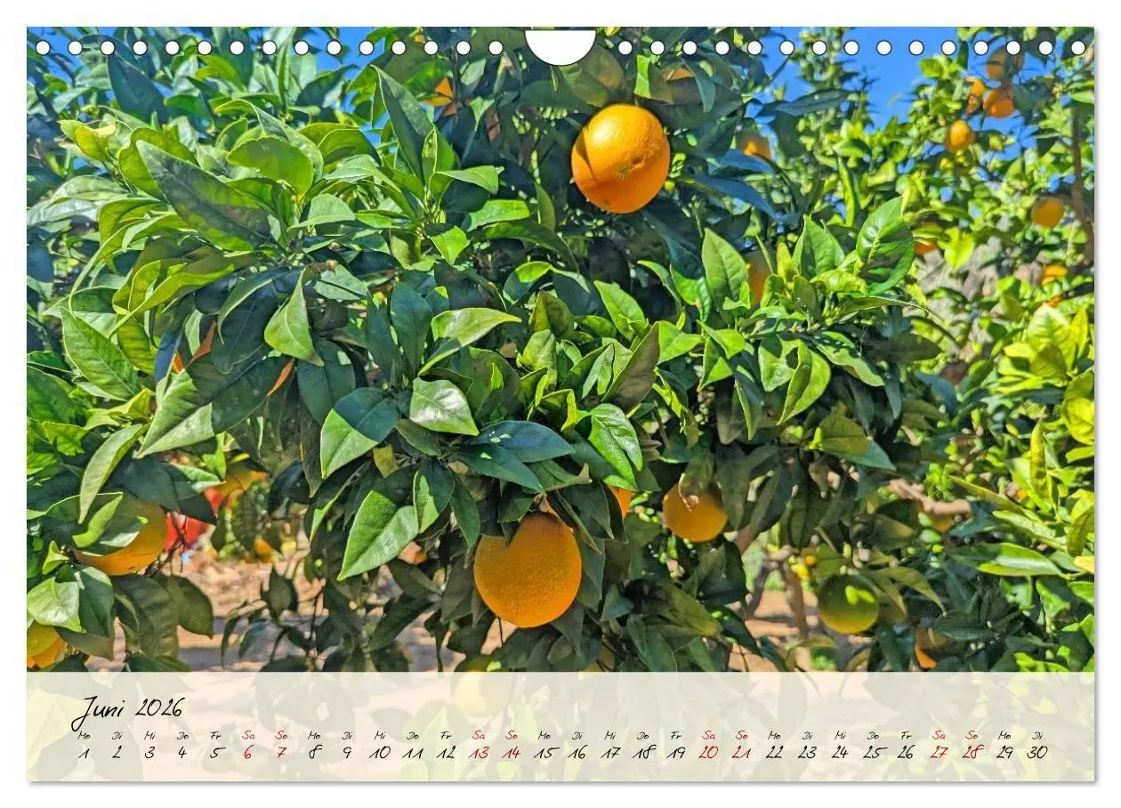 Bild: 9783516734478 | Siziliens Zauber - Von Palermo bis Taormina (Wandkalender 2026 DIN...