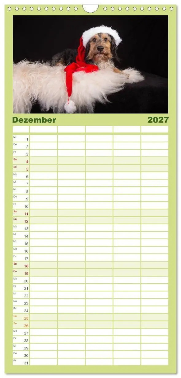 Bild: 9783594334478 | Familienplaner 2027 - DACKEL DACHSHUND TECKEL 2027 mit 5 Spalten...