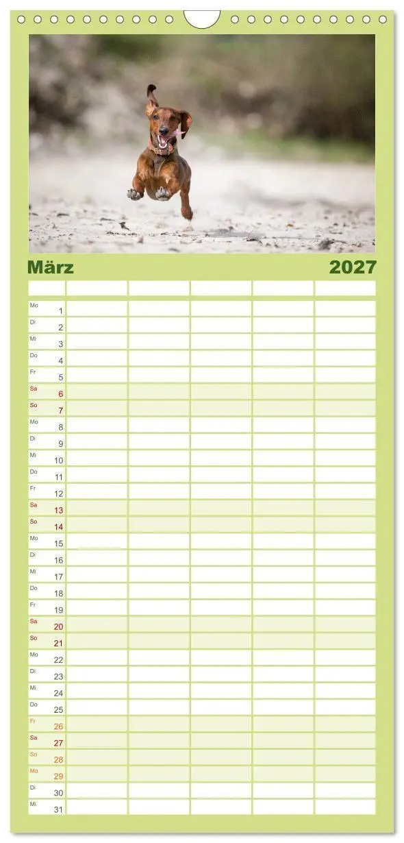 Bild: 9783594334478 | Familienplaner 2027 - DACKEL DACHSHUND TECKEL 2027 mit 5 Spalten...