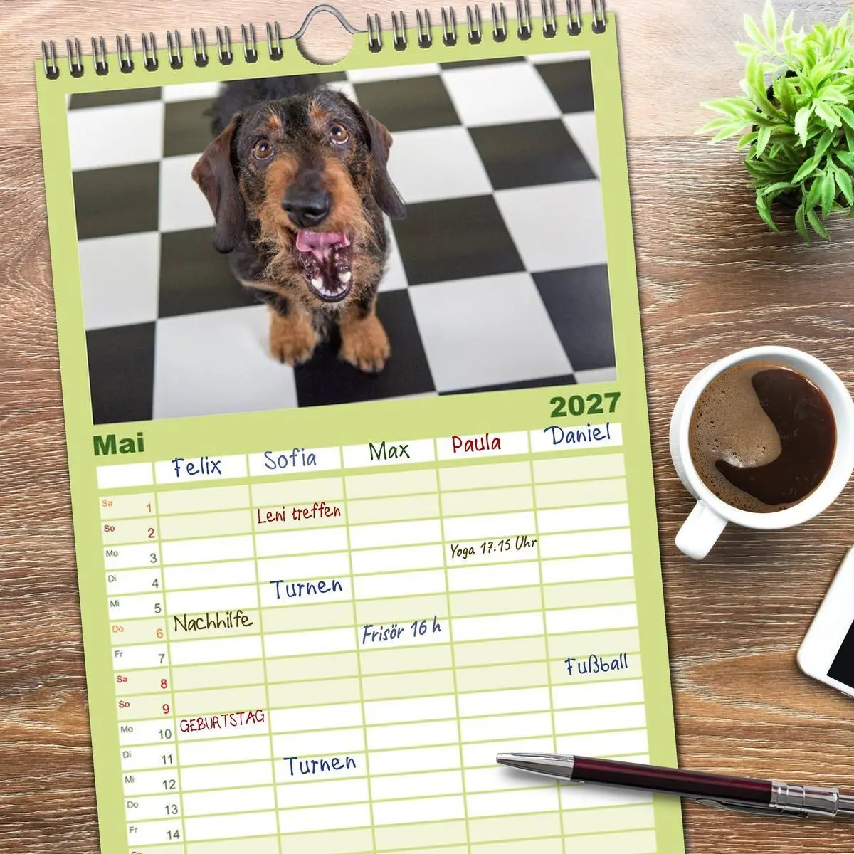 Bild: 9783594334478 | Familienplaner 2027 - DACKEL DACHSHUND TECKEL 2027 mit 5 Spalten...