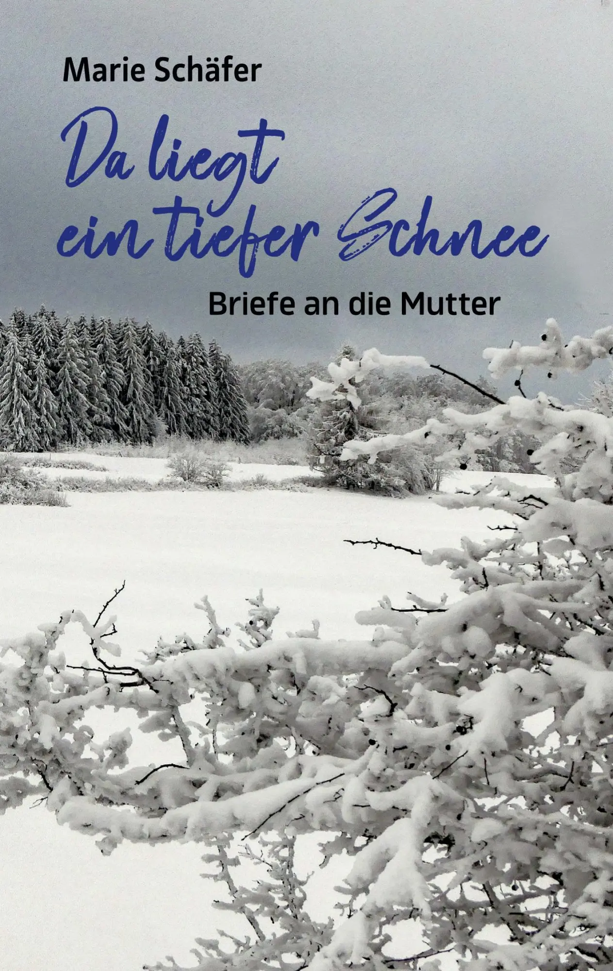 Cover: 9783769354478 | Da liegt ein tiefer Schnee | Briefe an die Mutter | Marie Schäfer