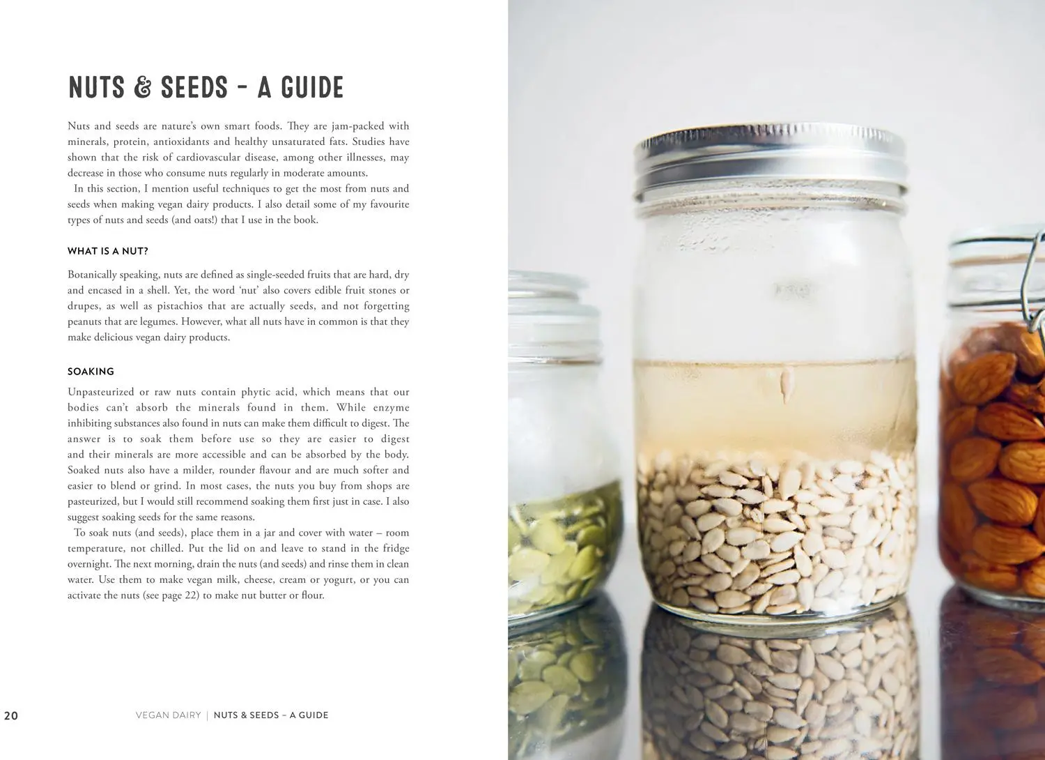 Bild: 9781911624578 | Vegan Dairy | Making Milk, Butter and Cheese from Nuts and Seeds