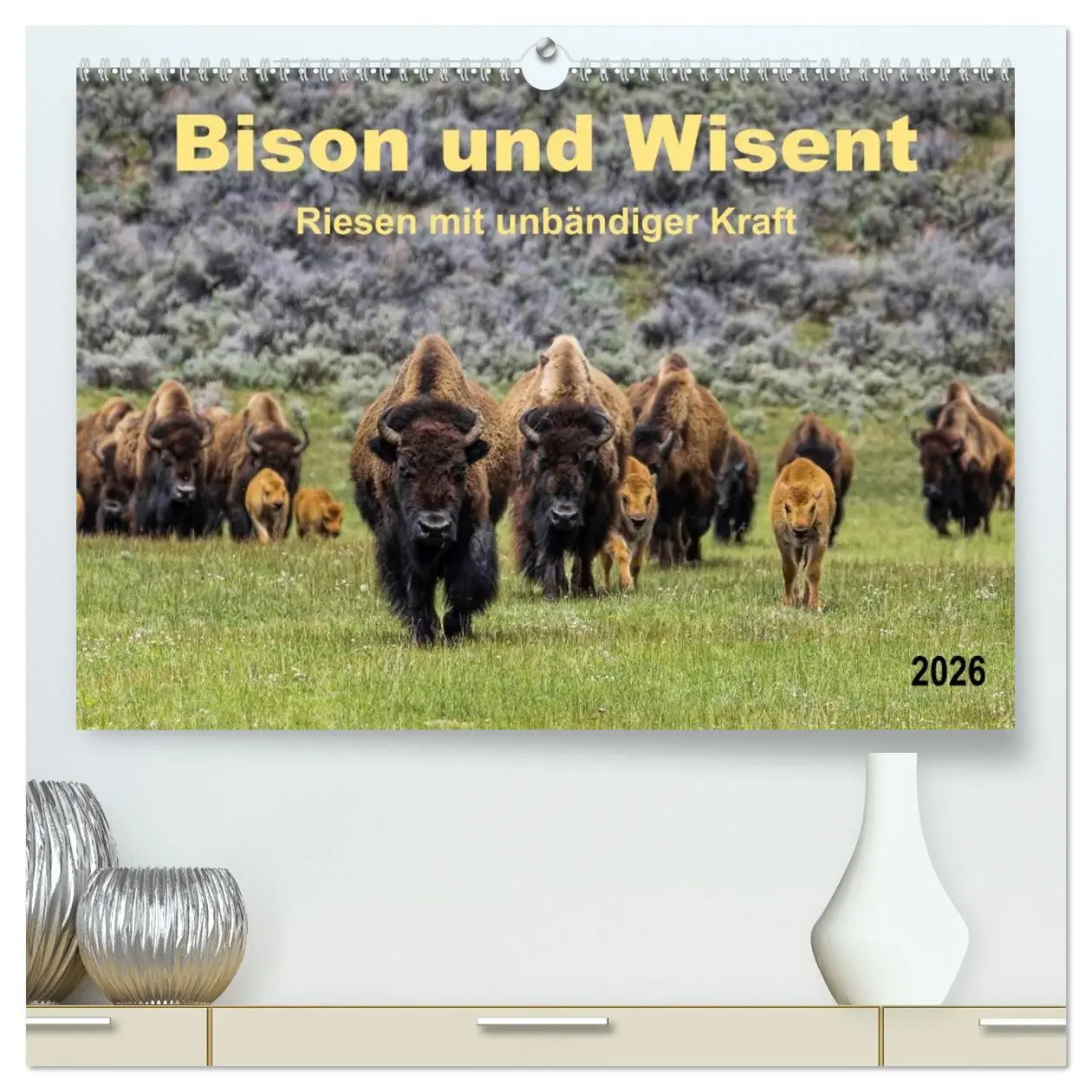 Cover: 9783516034578 | Bison und Wisent - Riesen mit unbändiger Kraft (hochwertiger...