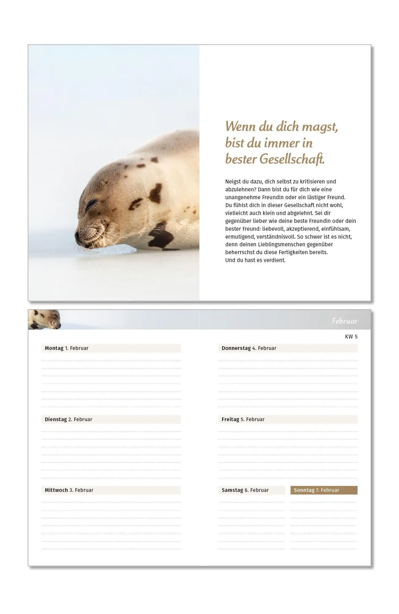 Bild: 9783910294578 | Der Lebensfreude-Taschenkalender 2027 | Doris Wolf (u. a.) | Kalender