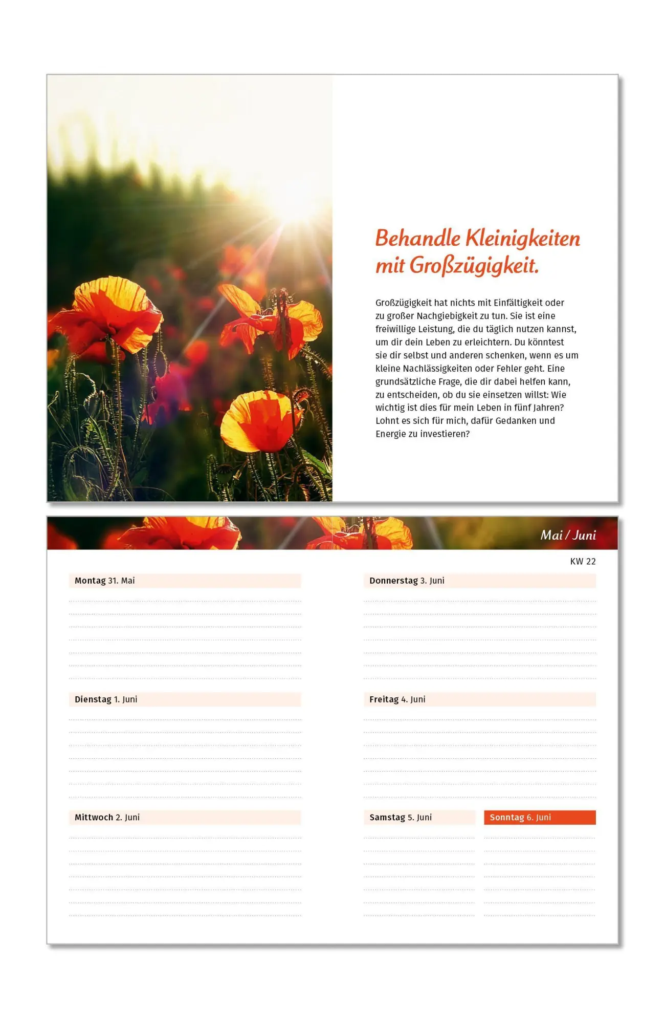 Bild: 9783910294578 | Der Lebensfreude-Taschenkalender 2027 | Doris Wolf (u. a.) | Kalender