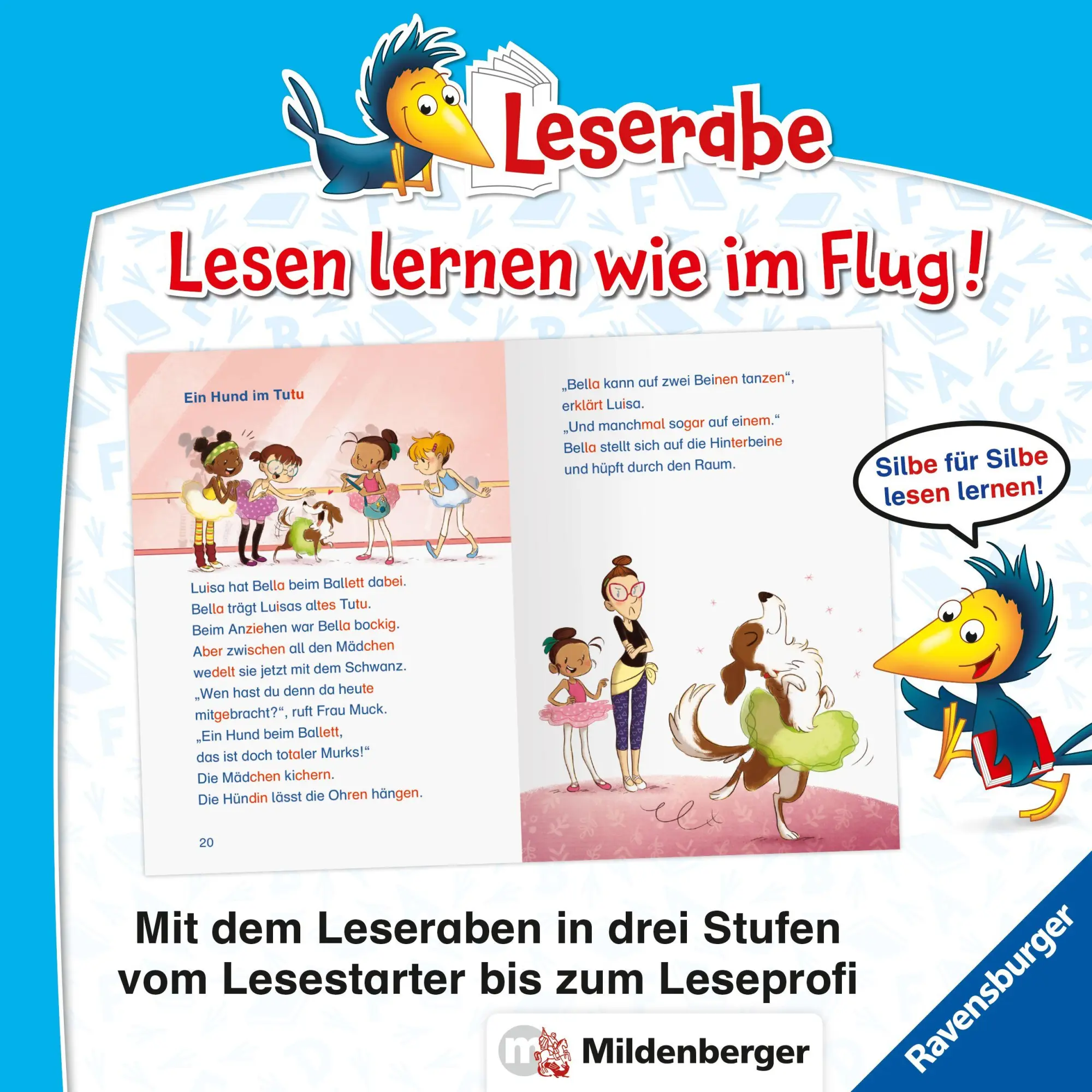 Bild: 9783473464678 | Leserabe mit Mildenberger Silbenmethode - Ballettgeschichten | Buch