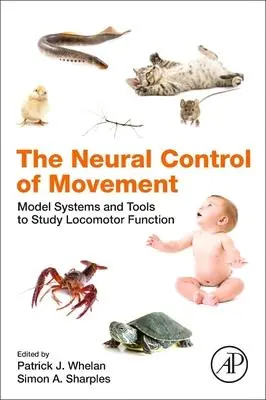 Cover: 9780128164778 | The Neural Control of Movement | Patrick J Whelan (u. a.) | Buch