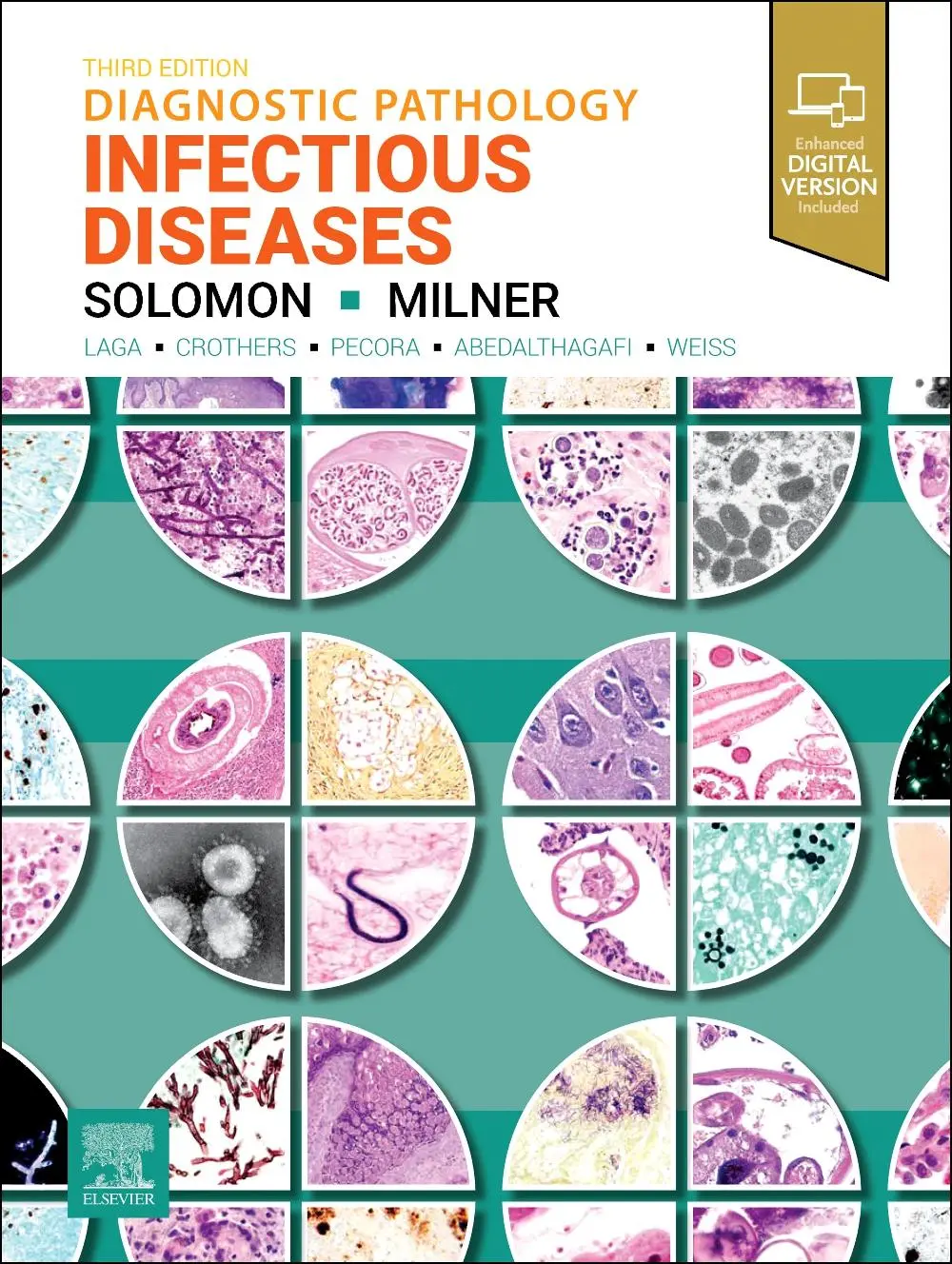 Cover: 9780443124778 | Diagnostic Pathology: Infectious Diseases | Isaac H Solomon (u. a.)
