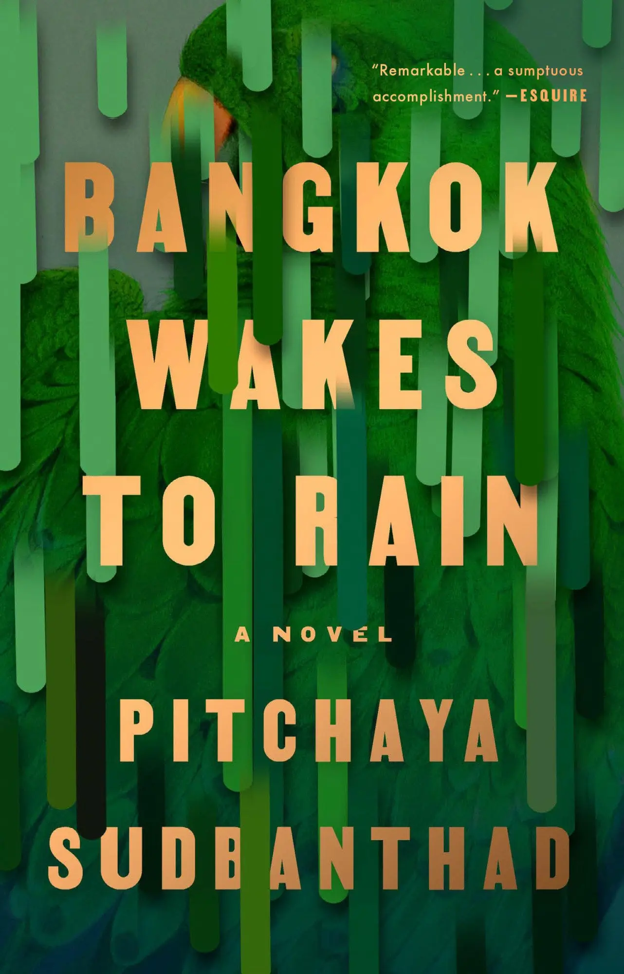 Cover: 9780525534778 | Bangkok Wakes to Rain | Pitchaya Sudbanthad | Taschenbuch | Englisch
