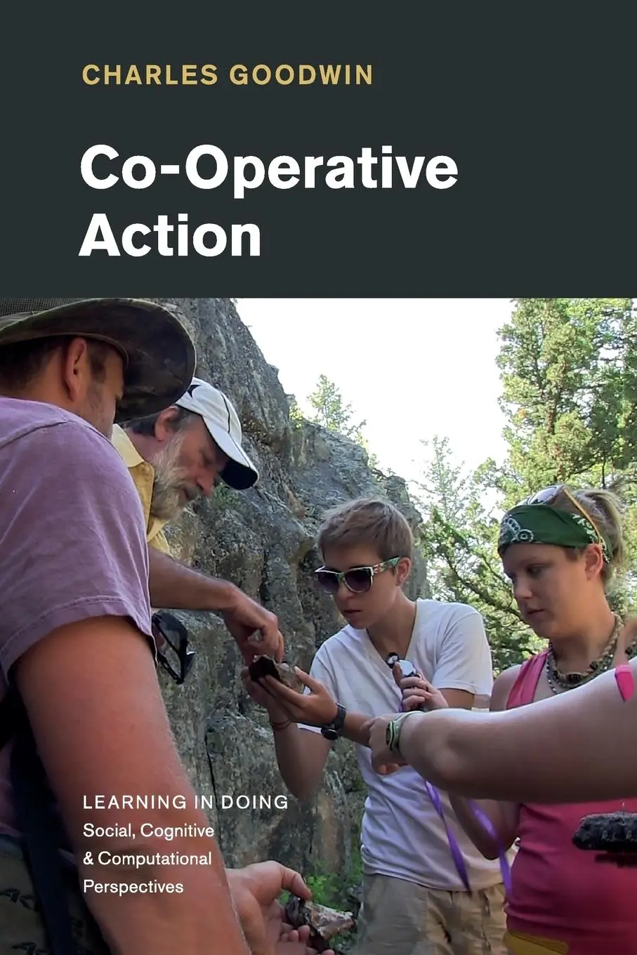 Cover: 9781108714778 | Co-Operative Action | Charles Goodwin | Taschenbuch | Englisch | 2019