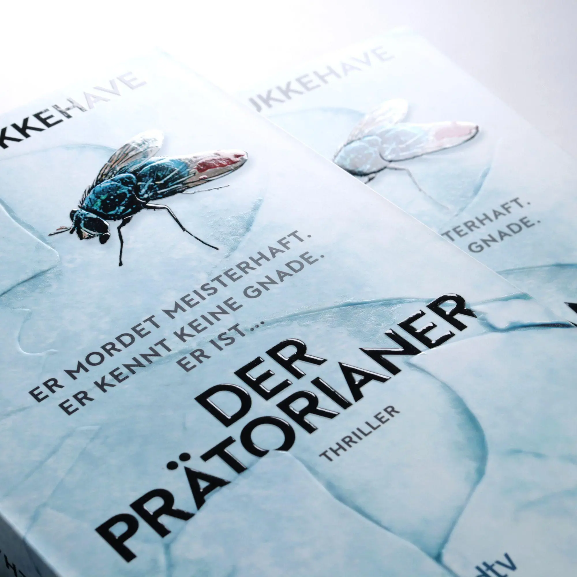 Bild: 9783423264778 | Der Prätorianer | Tobias Bukkehave | Taschenbuch | 416 S. | Deutsch