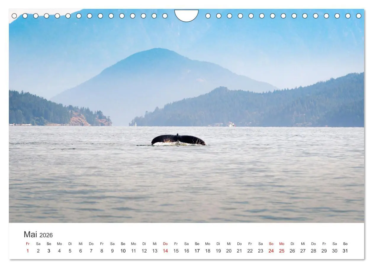 Bild: 9783457914878 | Kanadas Wunder (Wandkalender 2026 DIN A4 quer), CALVENDO...