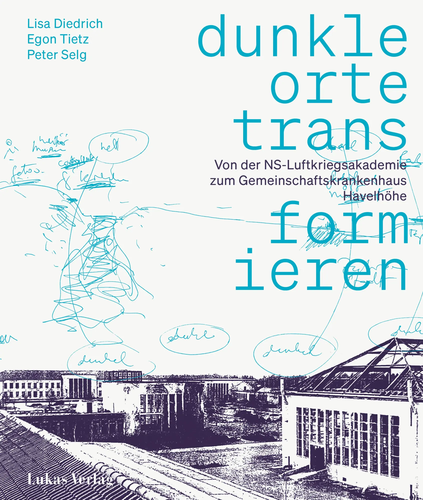 Cover: 9783867324878 | Dunkle Orte transformieren | Lisa Diedrich (u. a.) | Taschenbuch