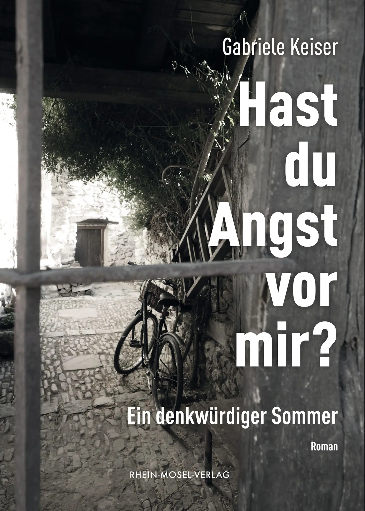 Cover: 9783898014878 | Hast du Angst vor mir? | Ein denkwürdiger Sommer | Gabriele Keiser